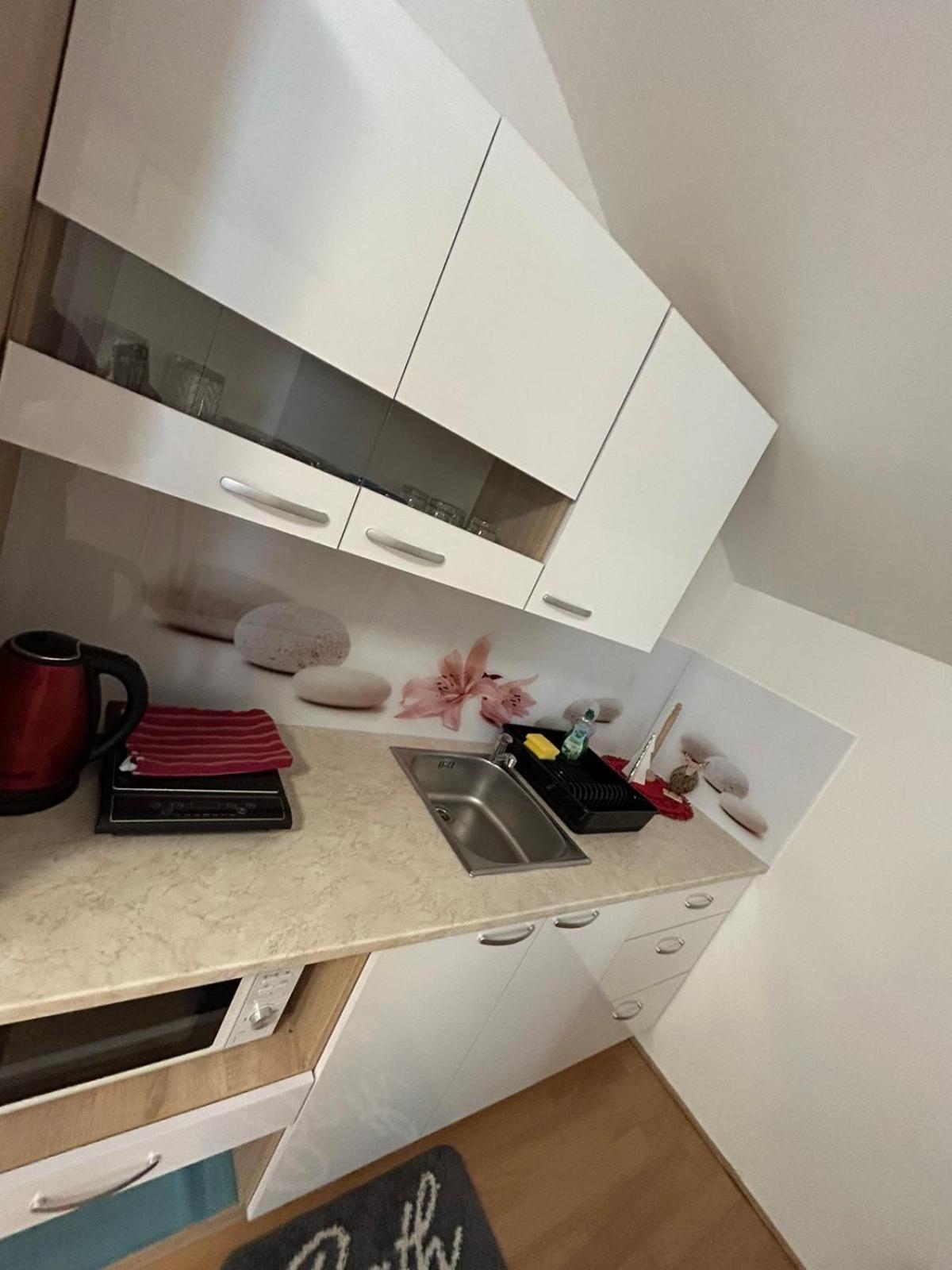 Apartments And Wellness Scavnicar Ljutomer Bagian luar foto
